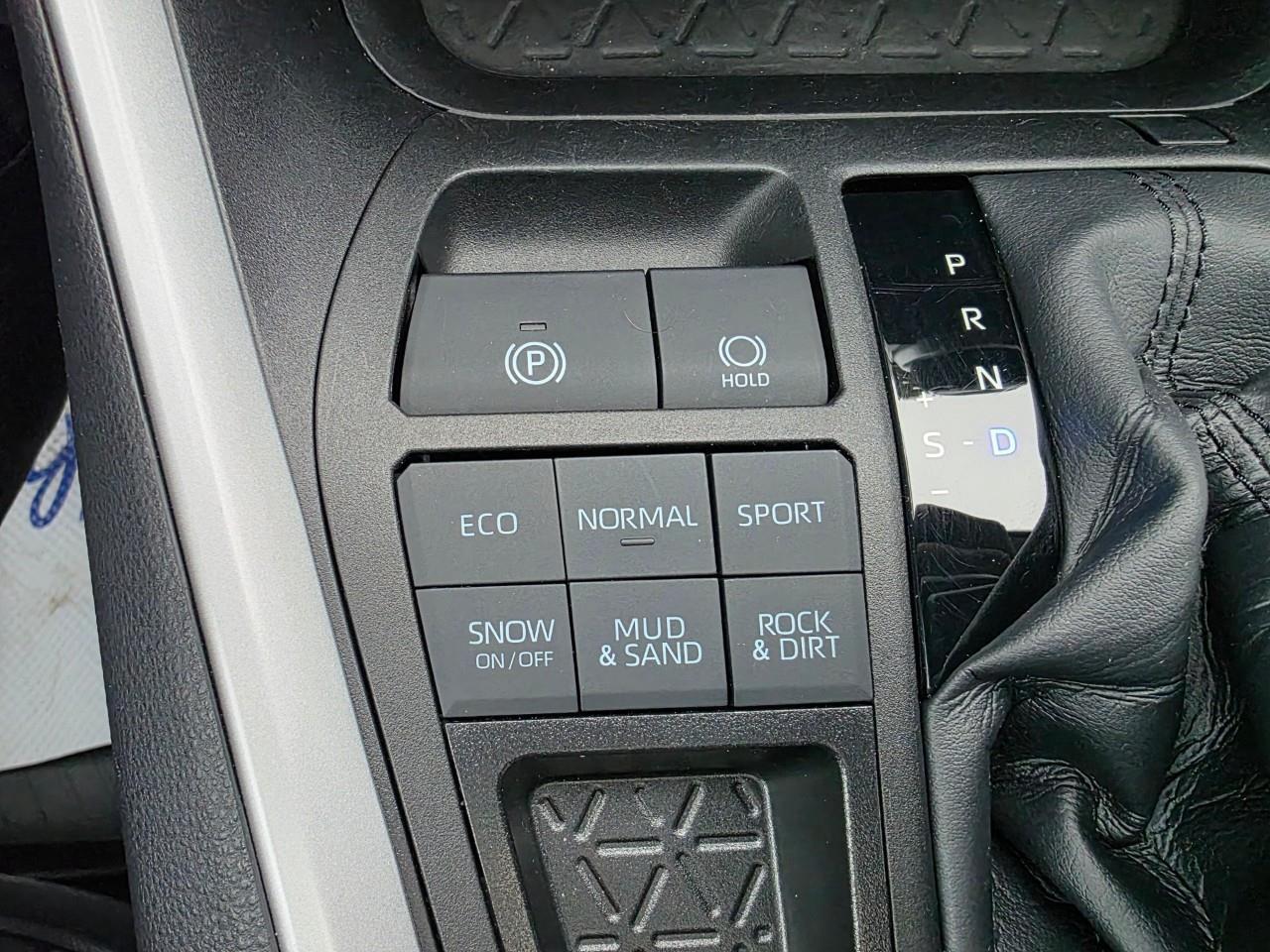 2022 Toyota RAV4 XLE 4dr All-wheel Drive Photo