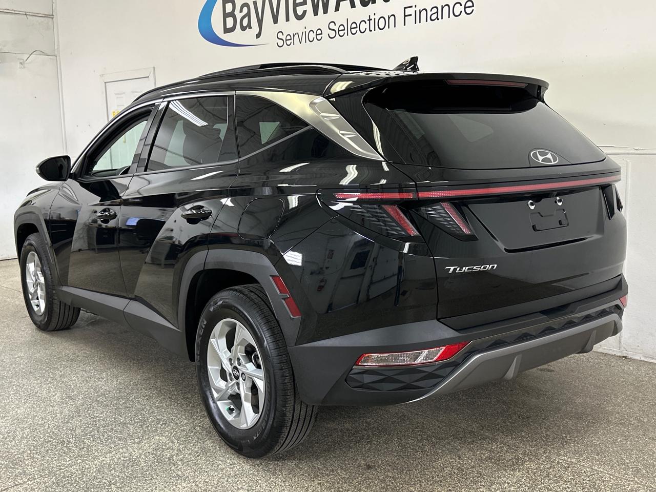 2024 Hyundai Tucson Trend 4dr All-Wheel Drive Photo