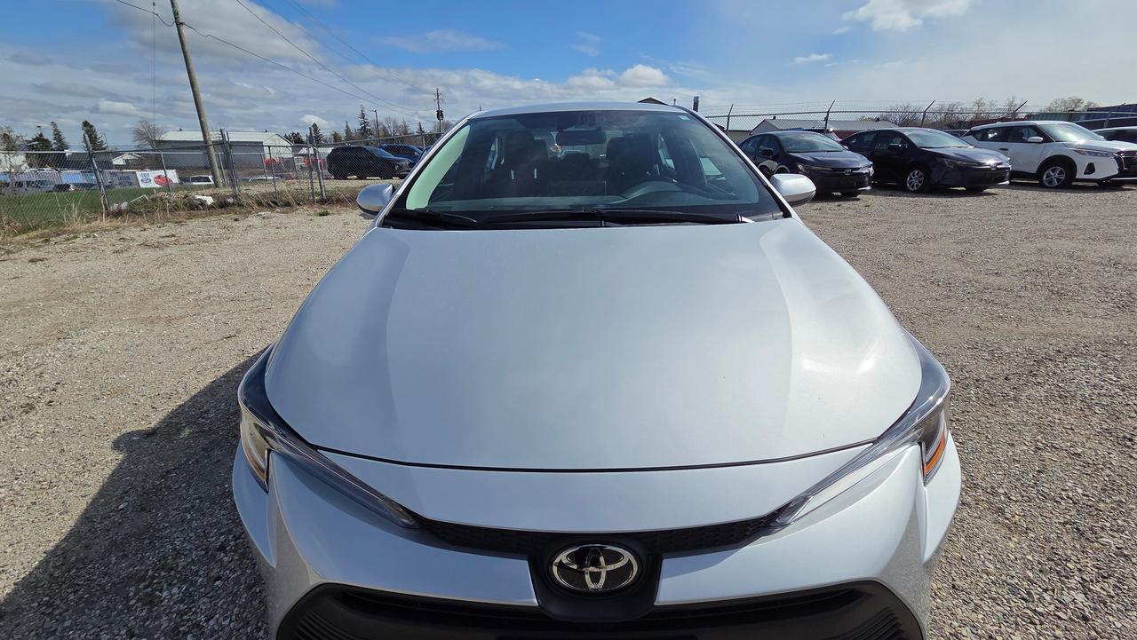 2026 Toyota Corolla LE Photo