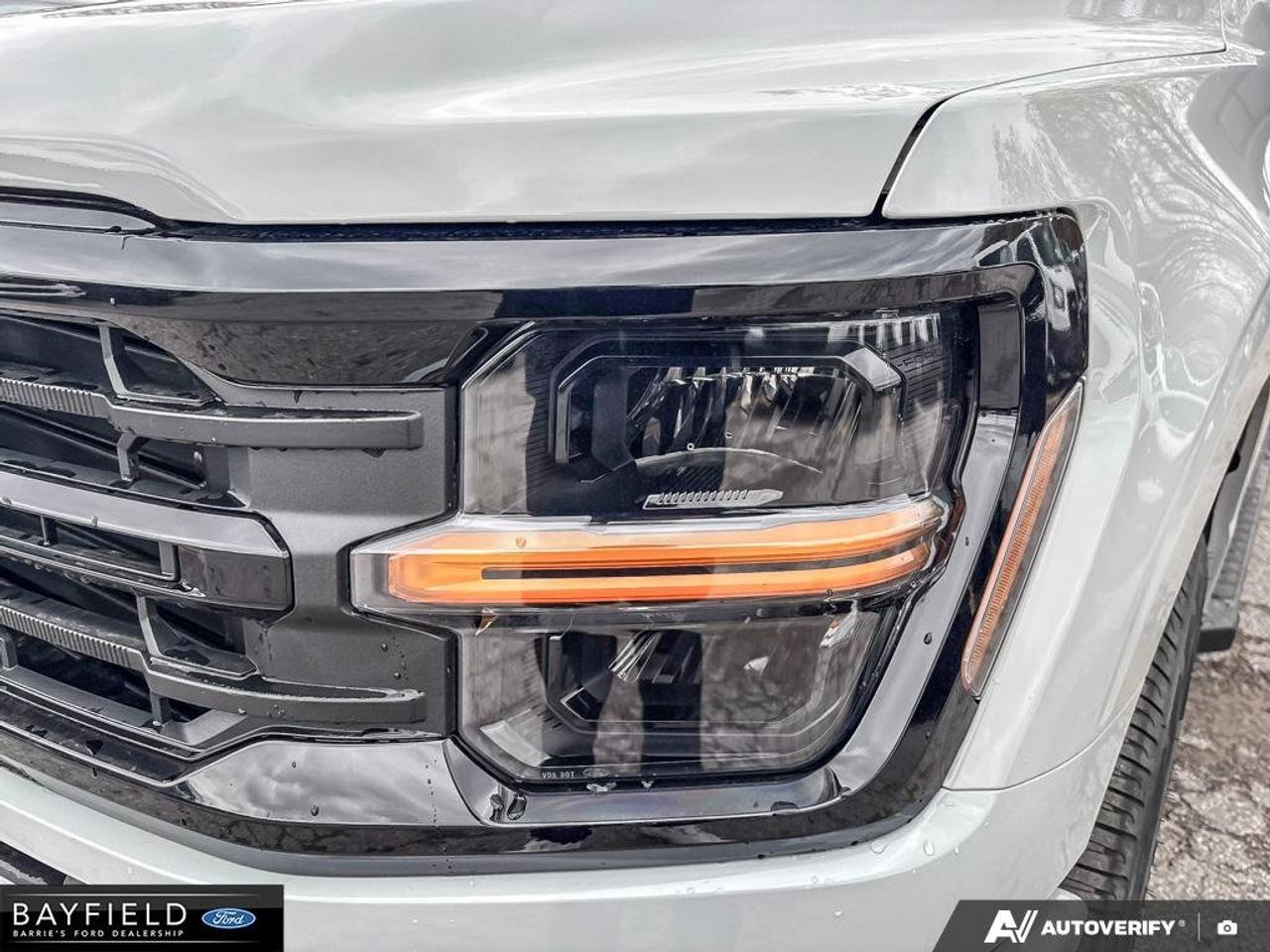2026 Ford F-150 XLT 4WD SuperCrew 5.5' Box Photo