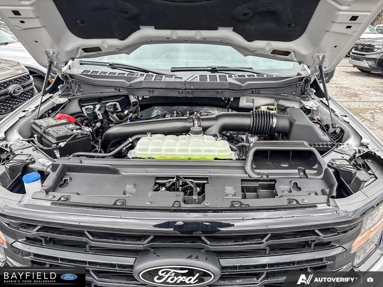 2026 Ford F-150 XLT 4WD SuperCrew 5.5' Box Photo