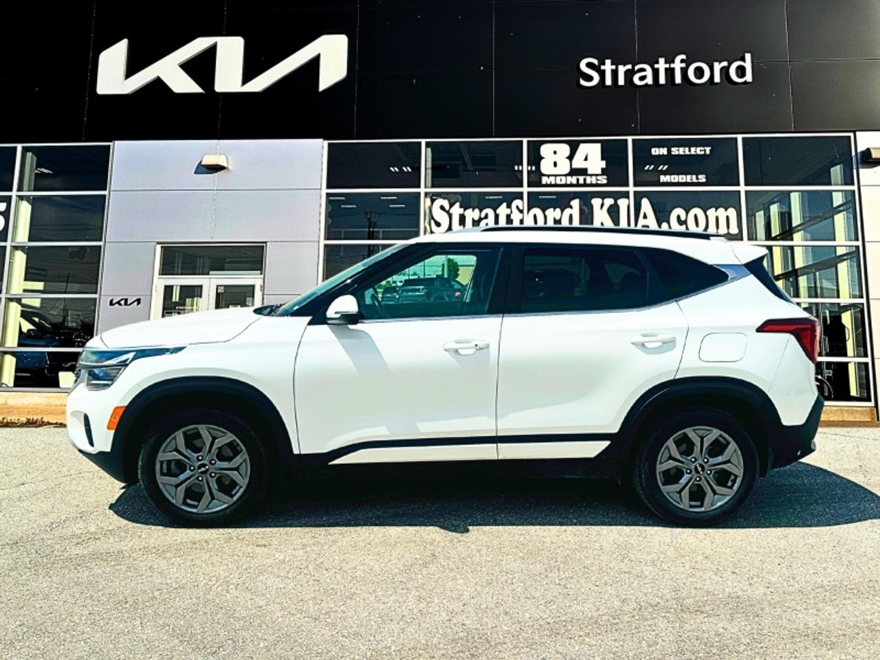 2025 Kia Seltos EX Photo
