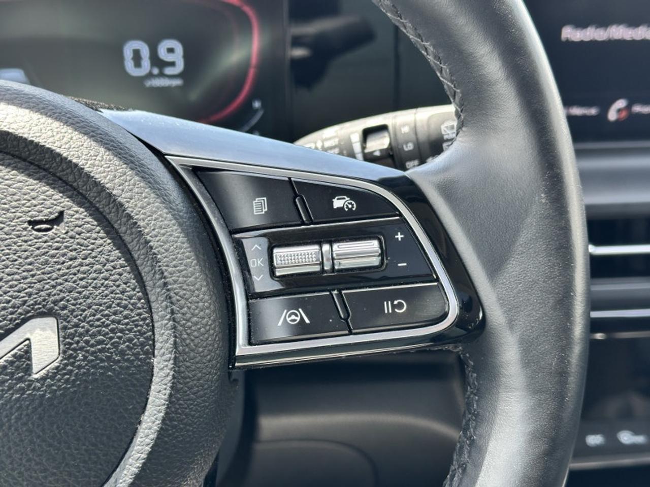 2025 Kia Seltos EX Photo