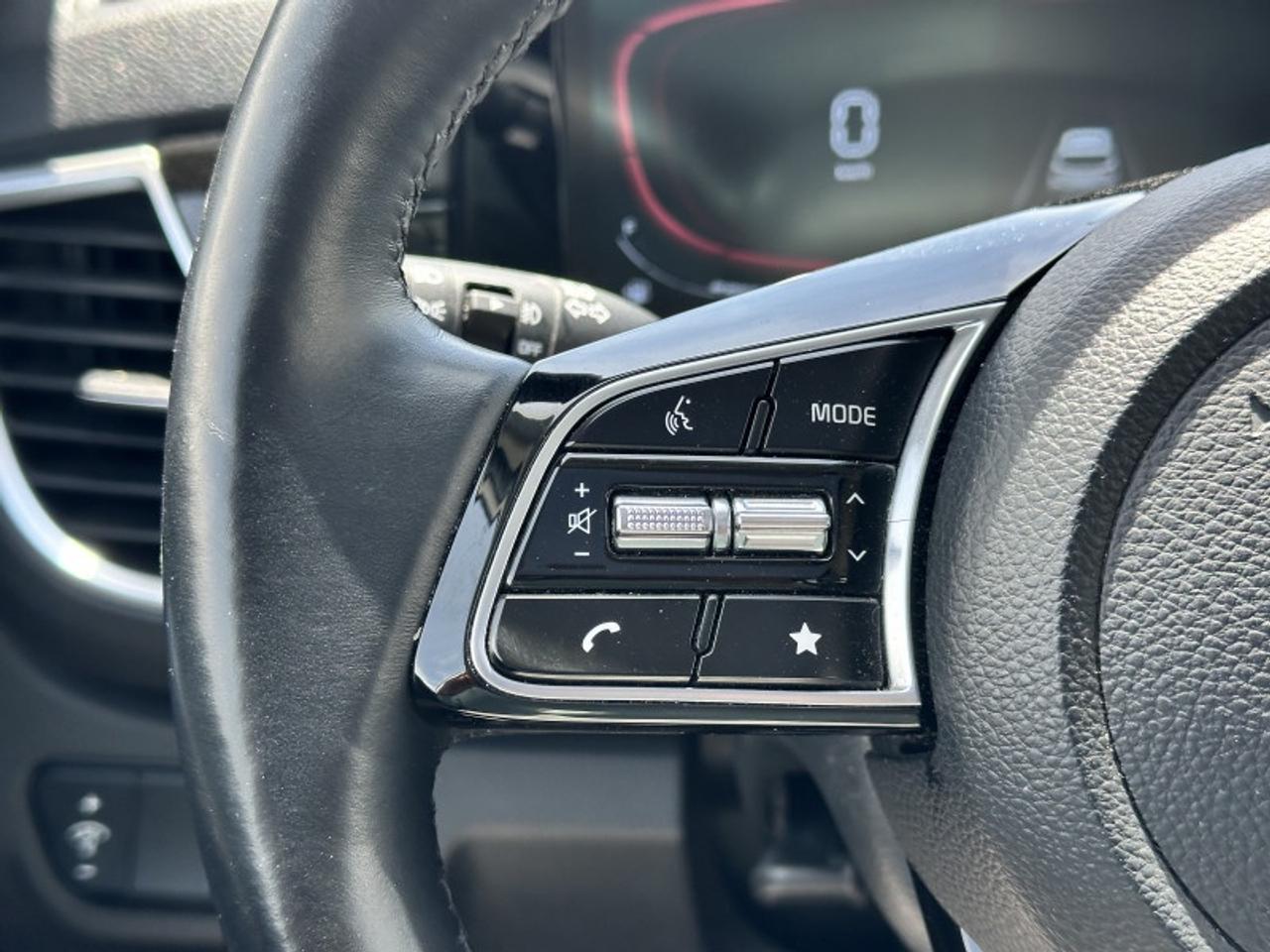 2025 Kia Seltos EX Photo