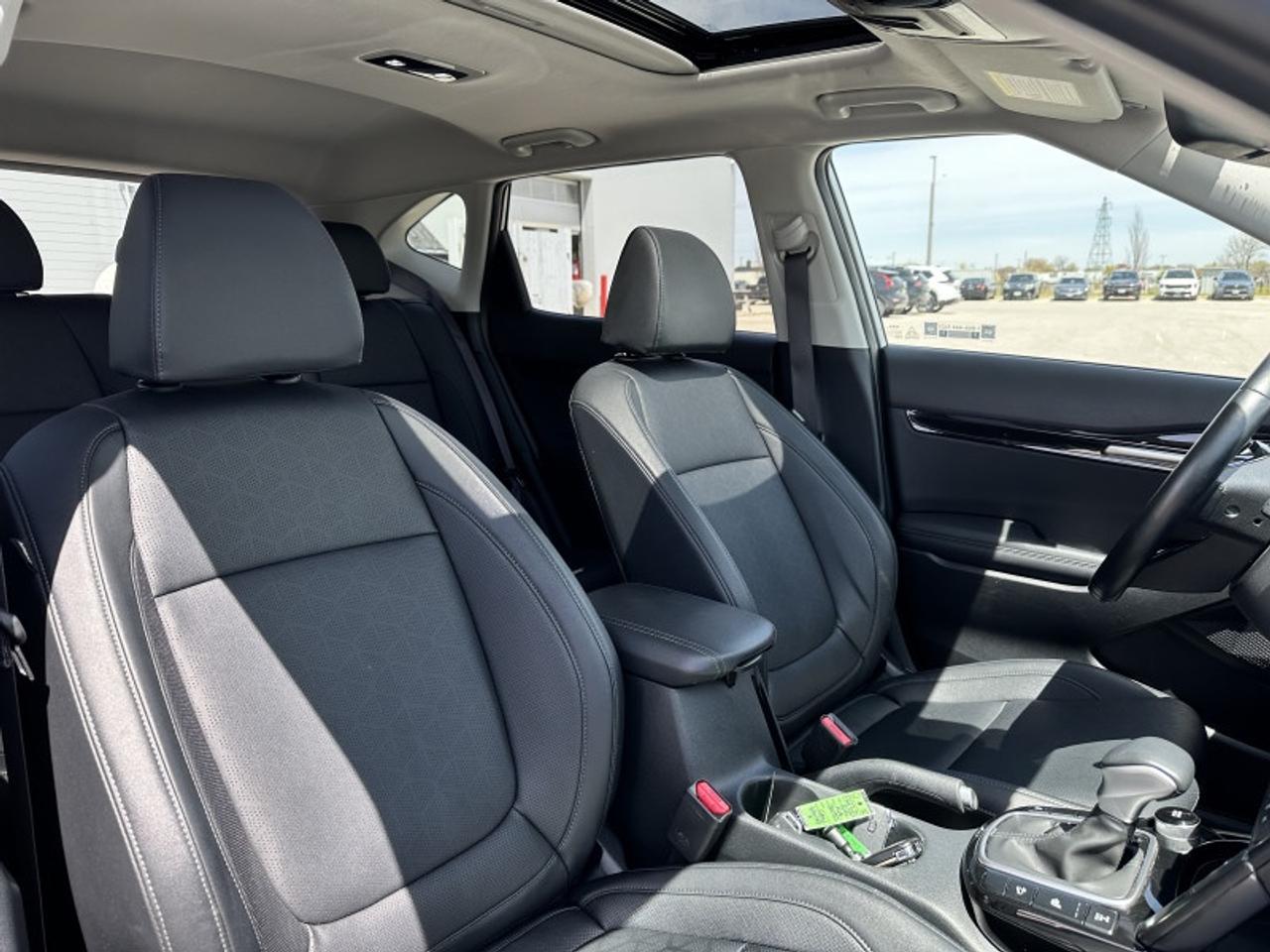 2025 Kia Seltos EX Photo