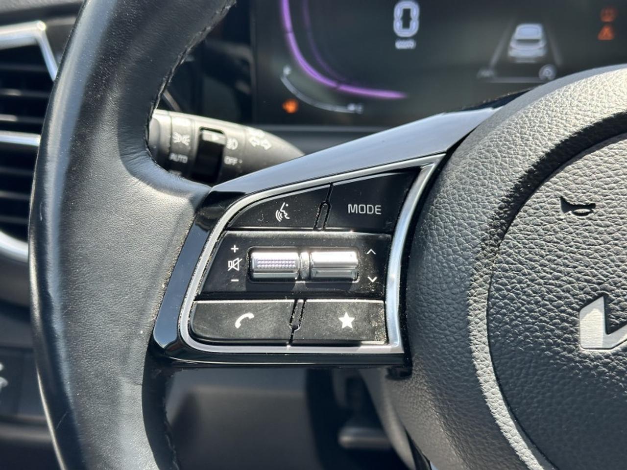 2025 Kia Seltos EX Photo