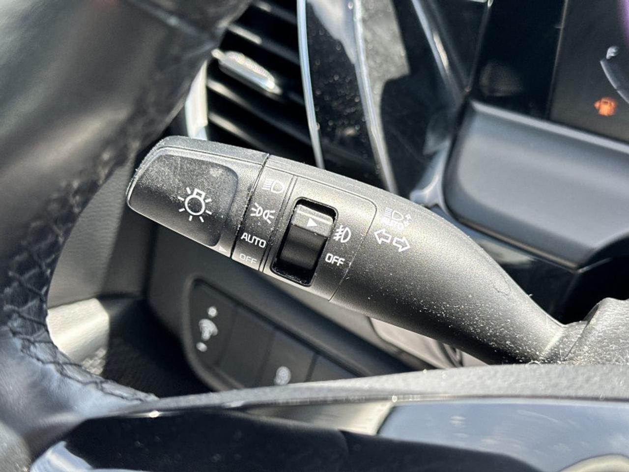 2025 Kia Seltos EX Photo