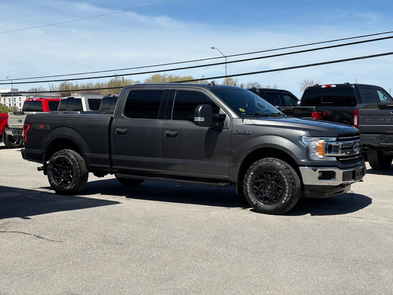 2020 Ford F-150  Photo