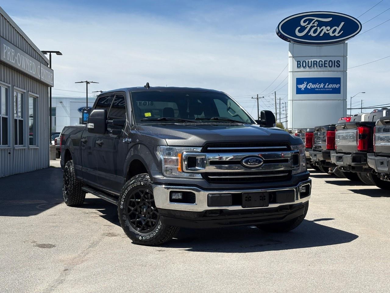 2020 Ford F-150  Photo