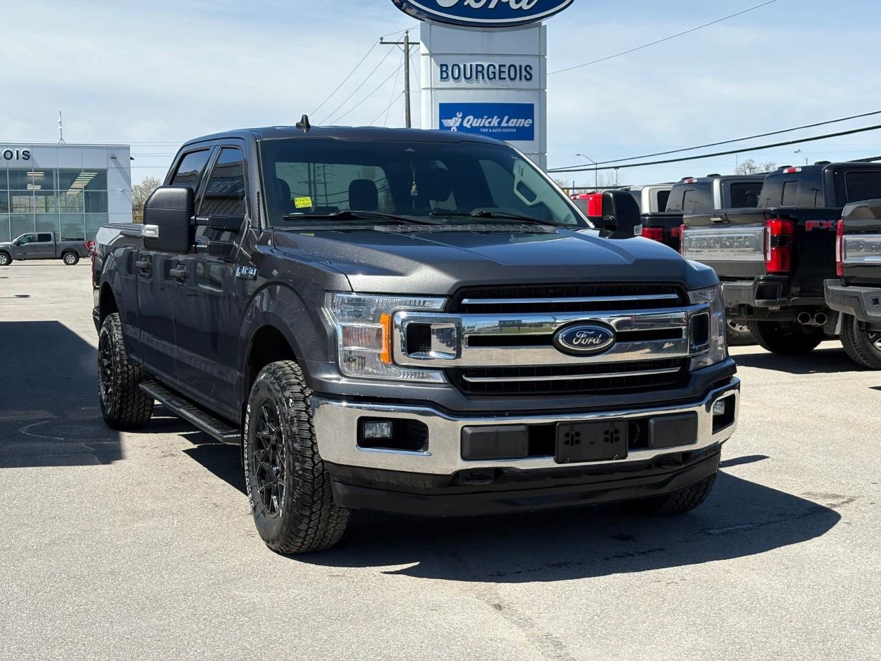 2020 Ford F-150  Photo