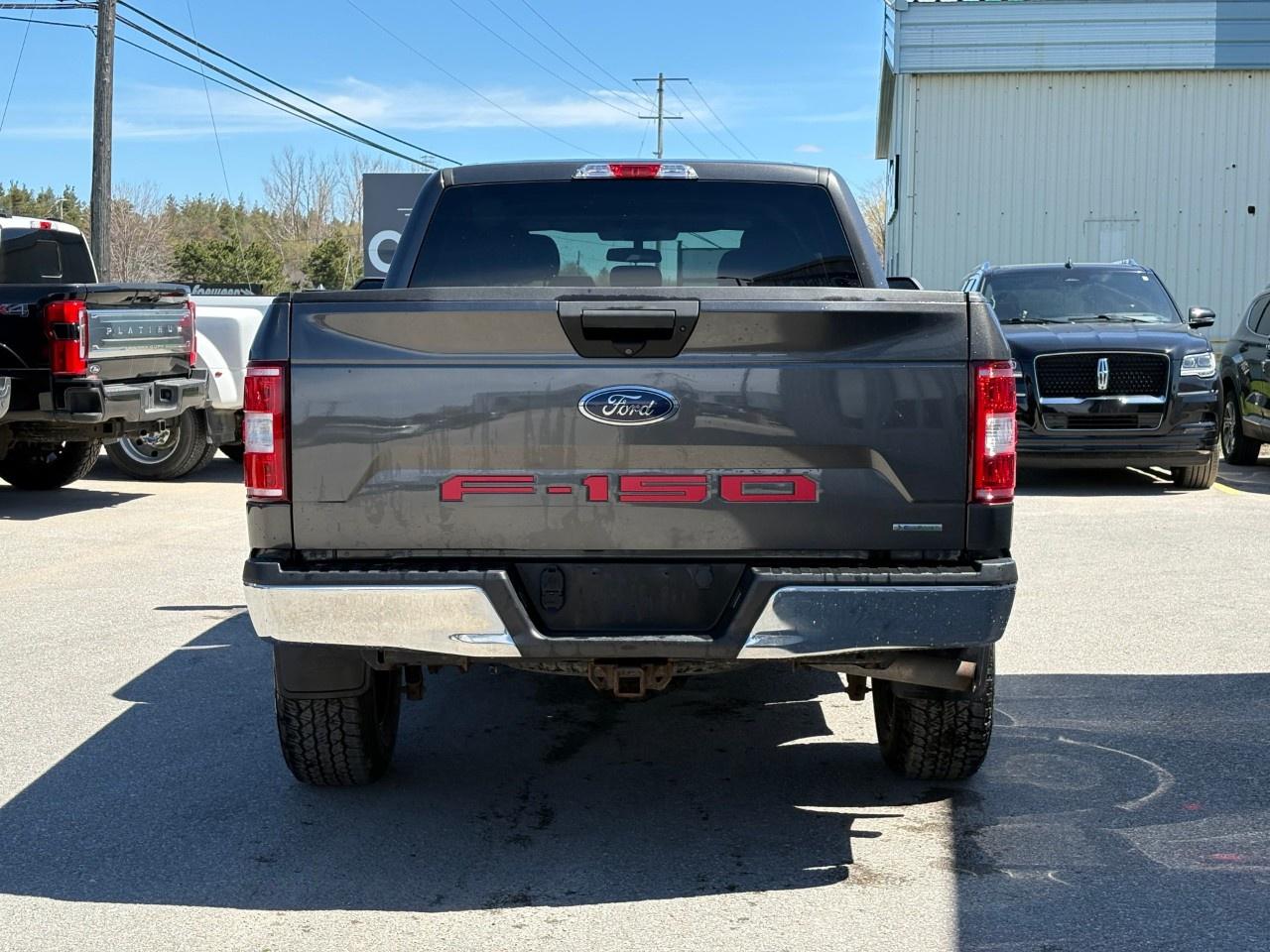2020 Ford F-150  Photo