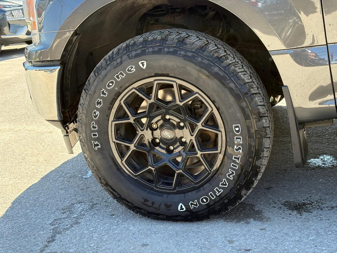 2020 Ford F-150  Photo
