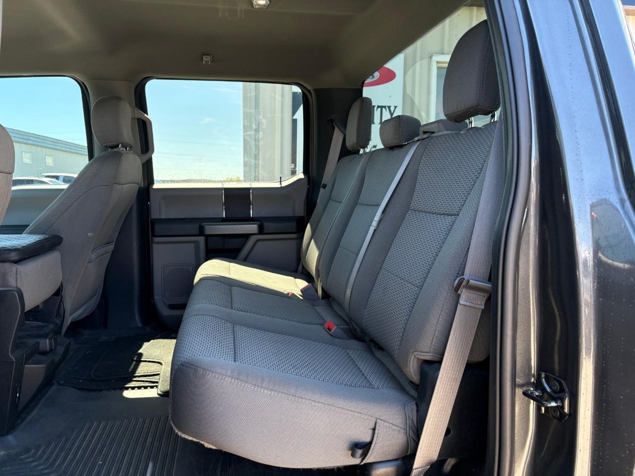 2020 Ford F-150  Photo