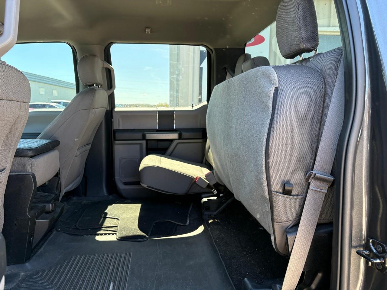 2020 Ford F-150  Photo