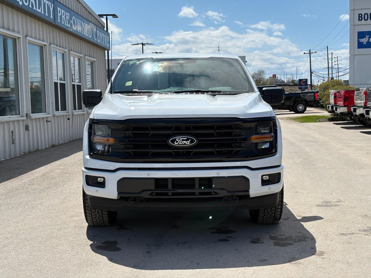 2026 Ford F-150 XLT 4WD SuperCrew 5.5' Box Photo