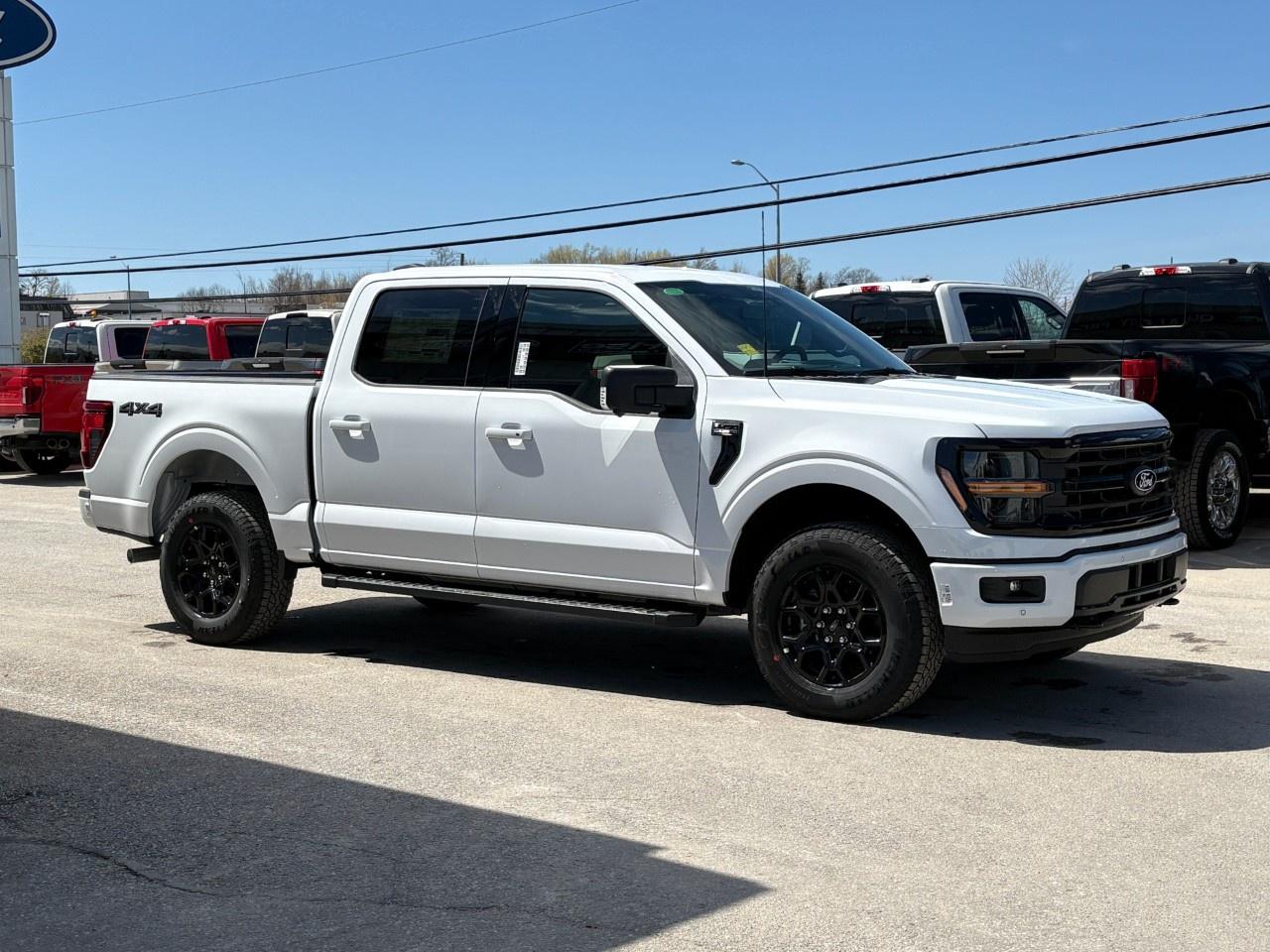 2026 Ford F-150 XLT 4WD SuperCrew 5.5' Box Photo