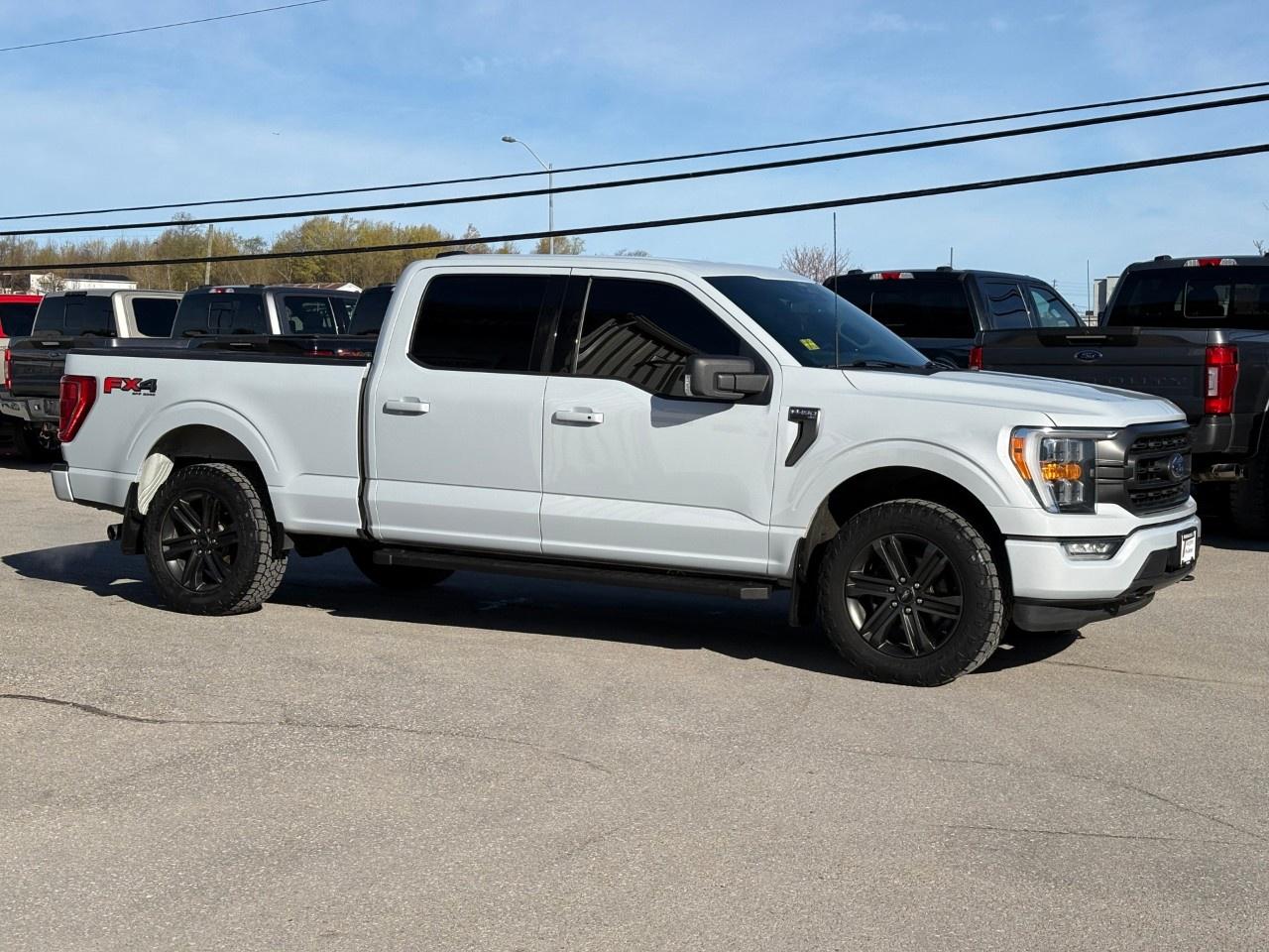 2021 Ford F-150 XLT 4WD SuperCrew 6.5' Box Photo4