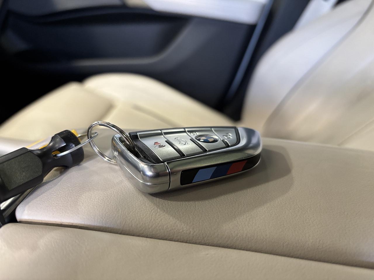 2020 BMW X6 M50i|xDrive|TWINTURBOV8|MATTEWRAP|WHITELEATHER|HUD Photo