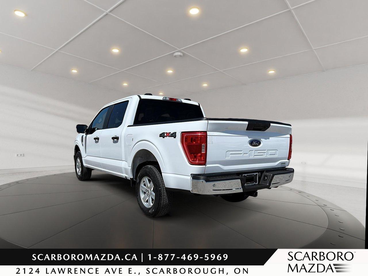 2023 Ford F-150 XLT Photo