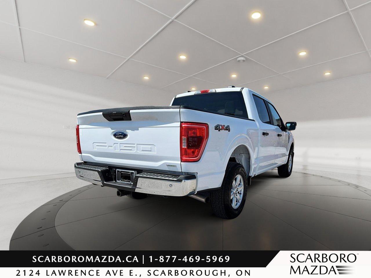 2023 Ford F-150 XLT Photo