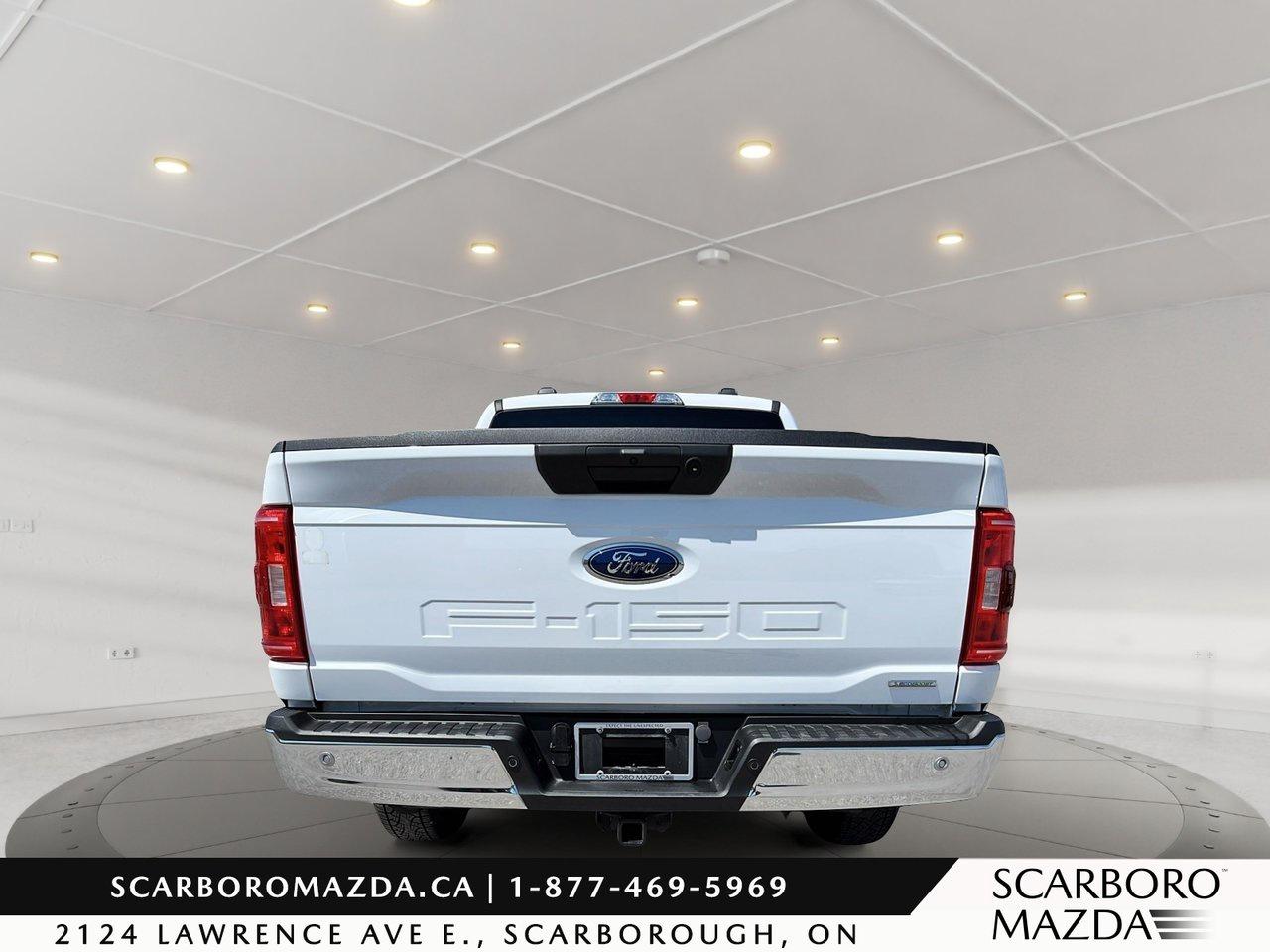 2023 Ford F-150 XLT Photo