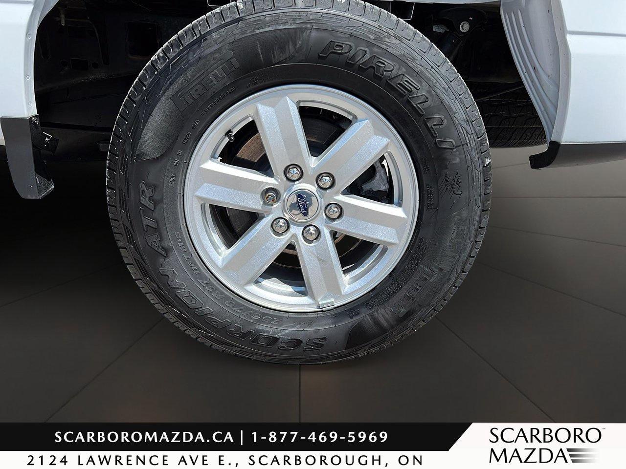 2023 Ford F-150 XLT Photo