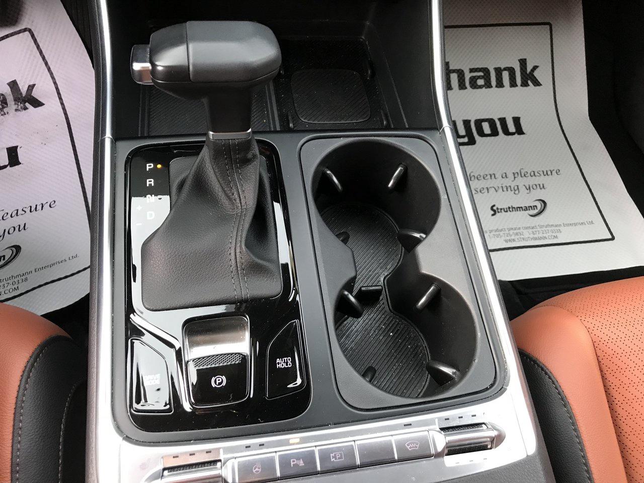 2026 Kia Carnival SX Pkg.   One Owner   No Accidents Photo