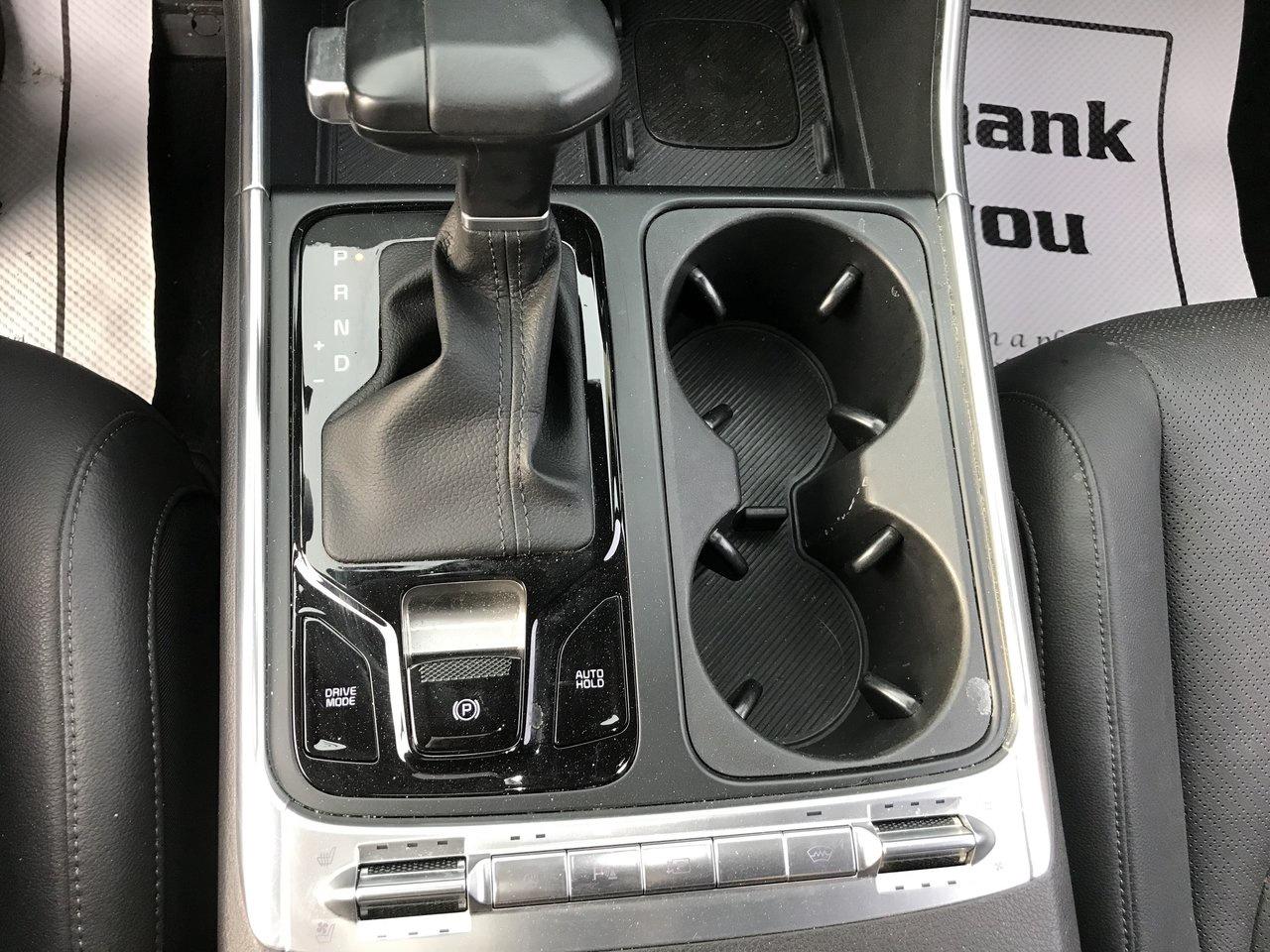 2025 Kia Carnival SX Pkg.   One Owner   No Accidents Photo