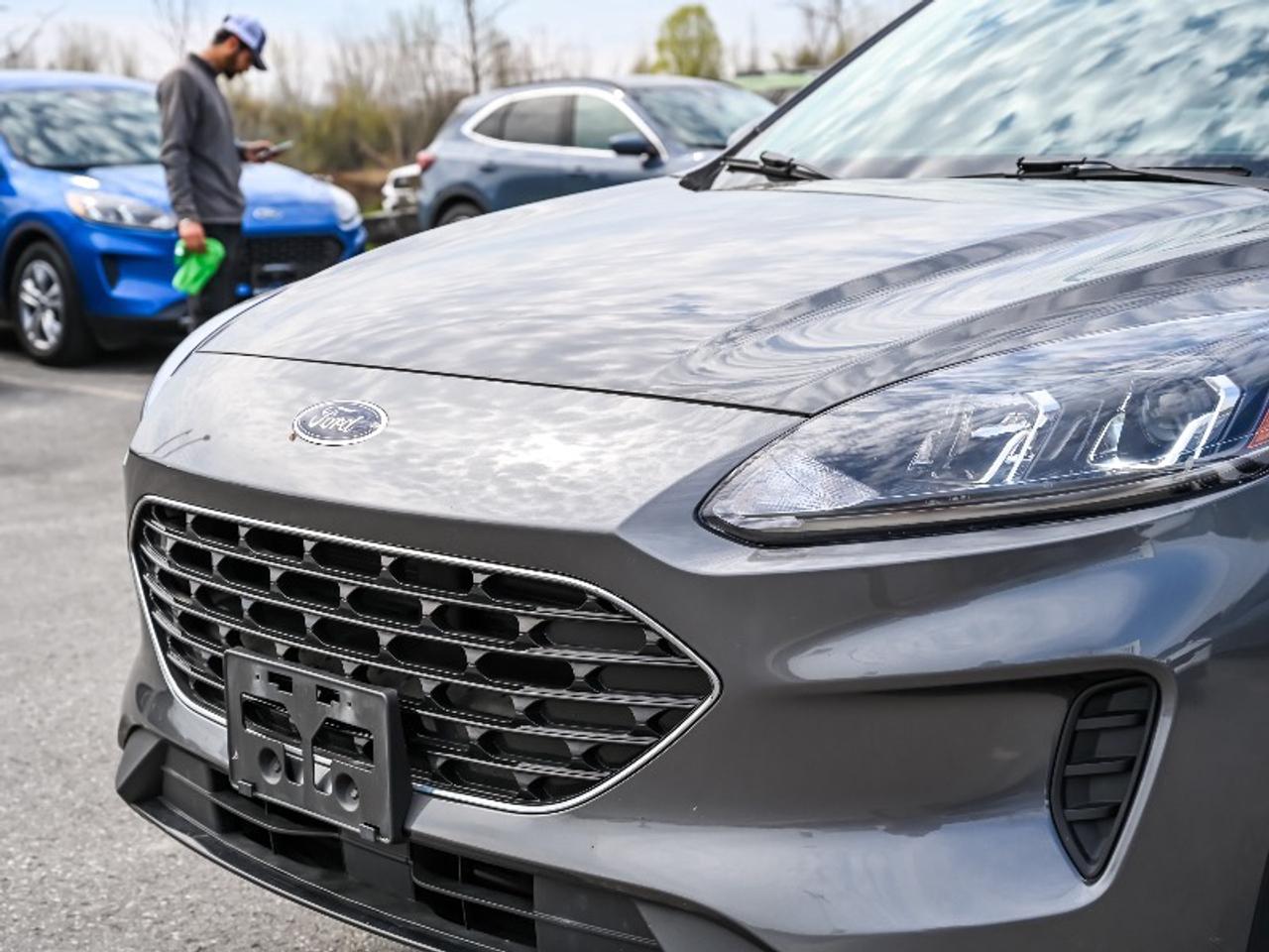 2022 Ford Escape SE Photo