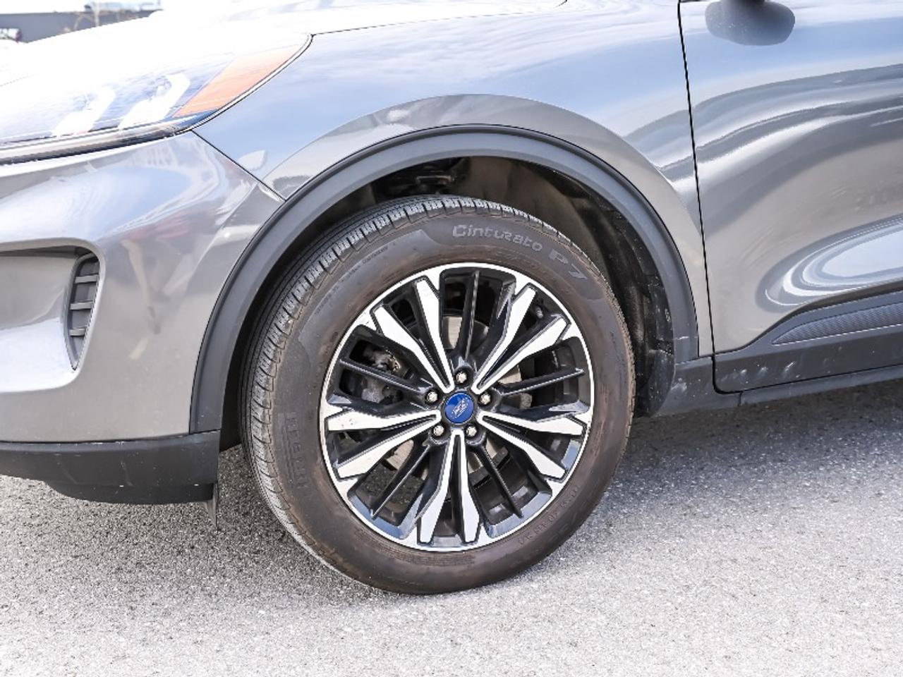 2022 Ford Escape SE Photo