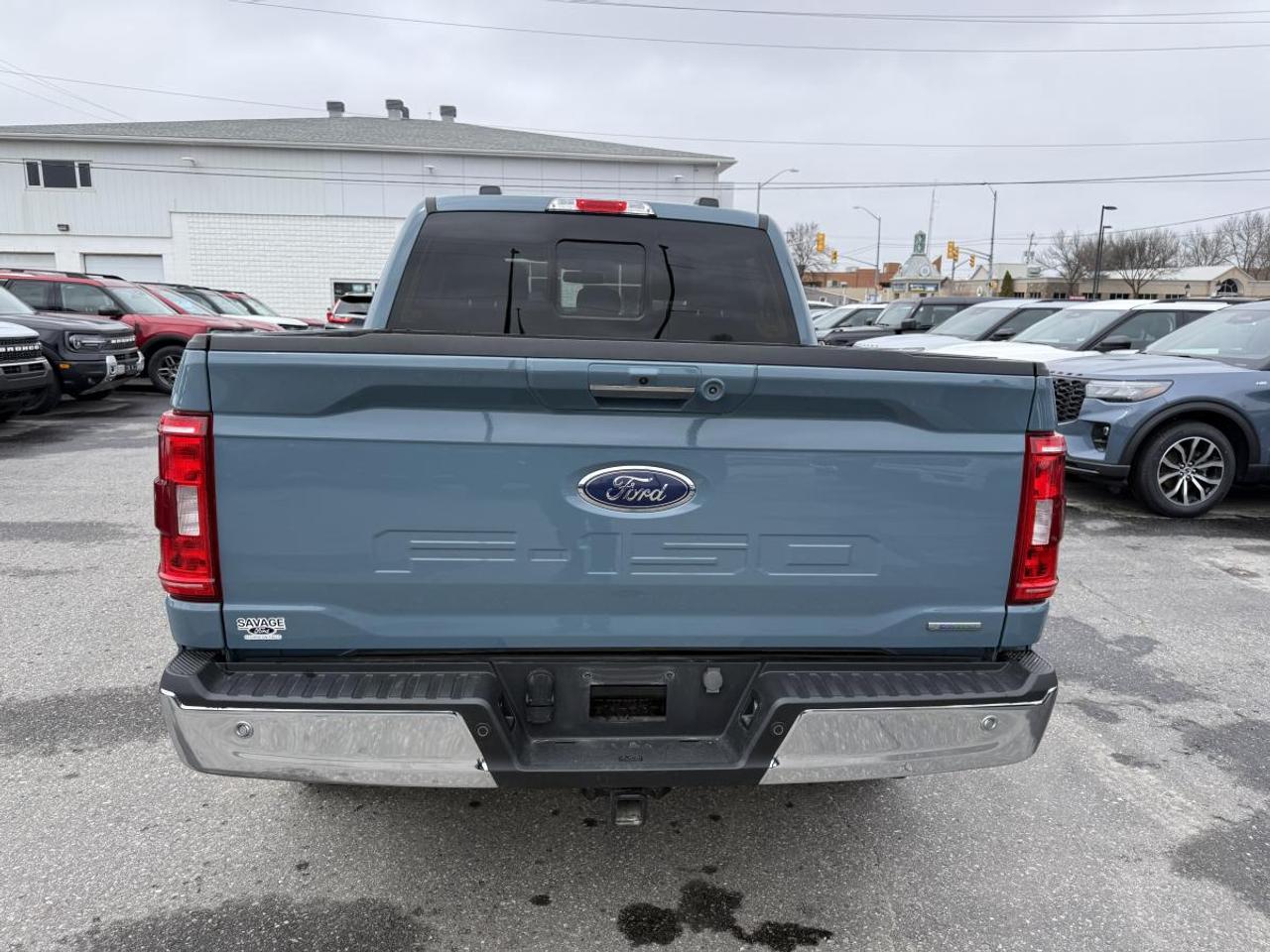 2023 Ford F-150 XLT 4WD SuperCrew 5.5' Box Photo