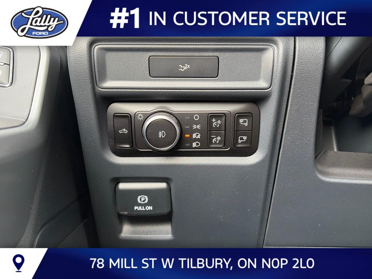 2026 Ford F-150 XLT 4WD SuperCrew 5.5' Box Photo