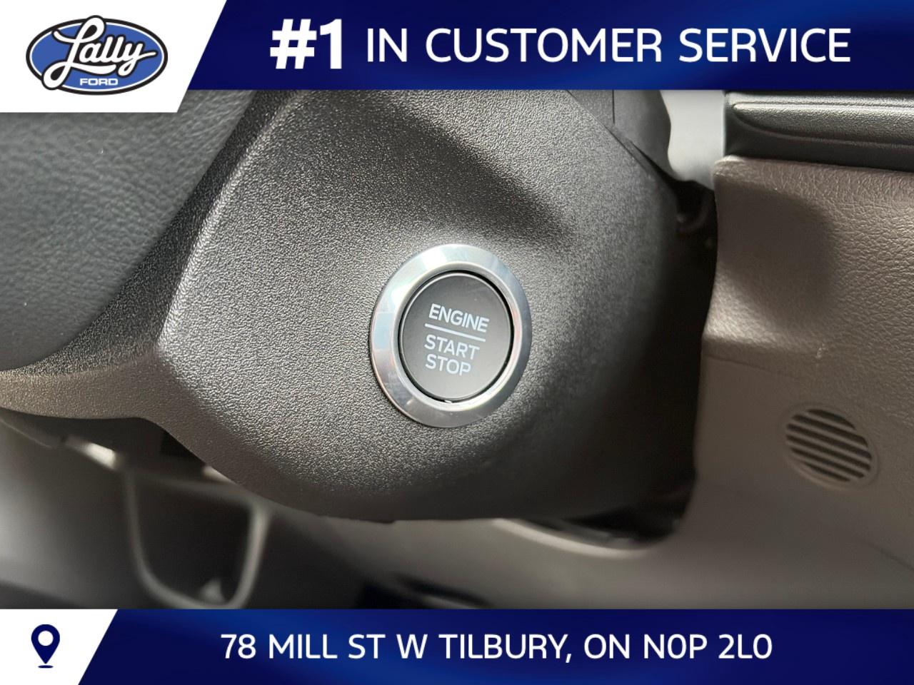 2026 Ford Transit Cargo Van T-250 148" MED RF 9070 GVWR AWD Photo