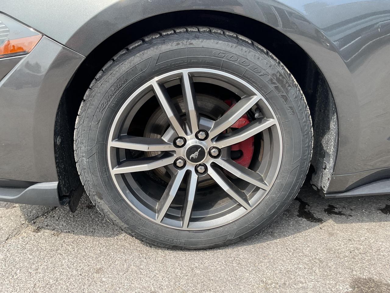 14044248