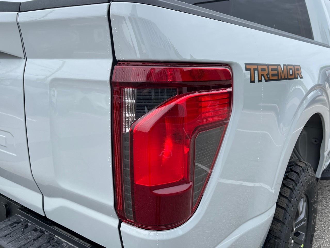 2026 Ford F-150 Tremor 4WD SuperCrew 5.5' Box Photo