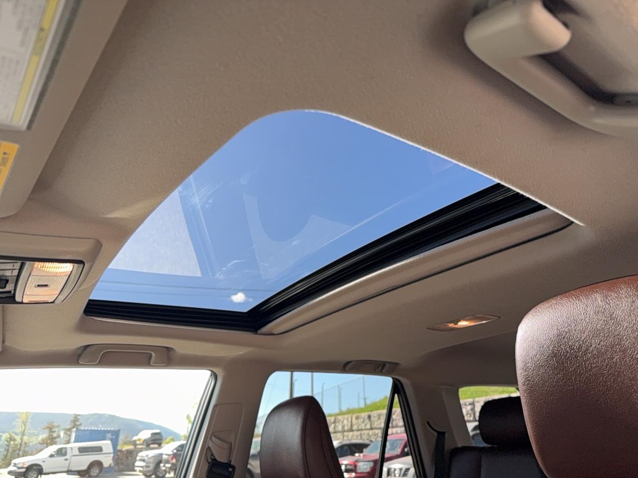 2020 Toyota 4Runner Limited Photo