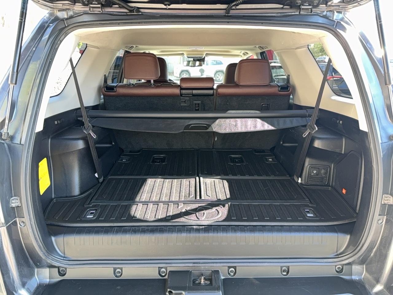 2020 Toyota 4Runner Limited Photo