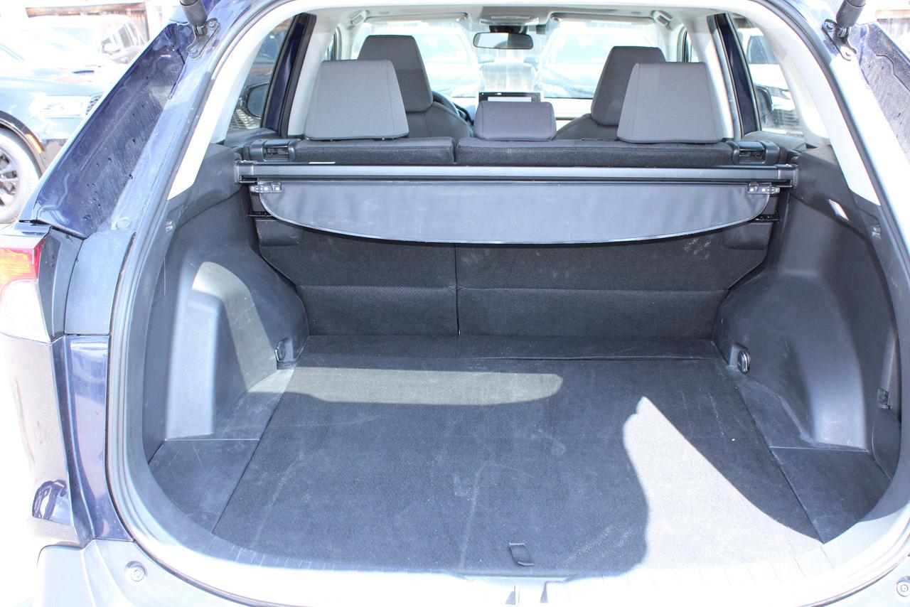 2024 Toyota RAV4 XLE Photo