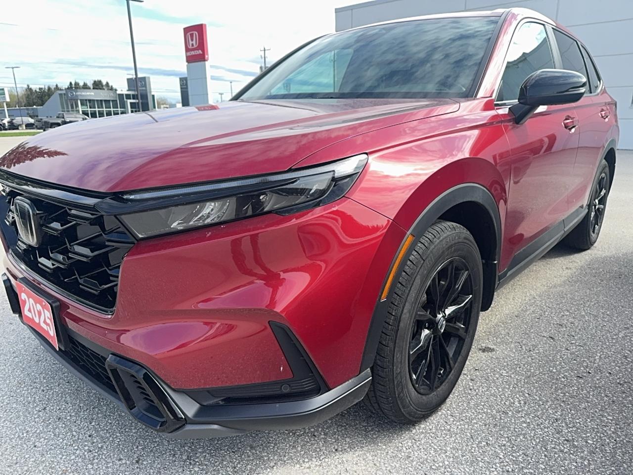 2025 Honda CR-V EX-L Photo