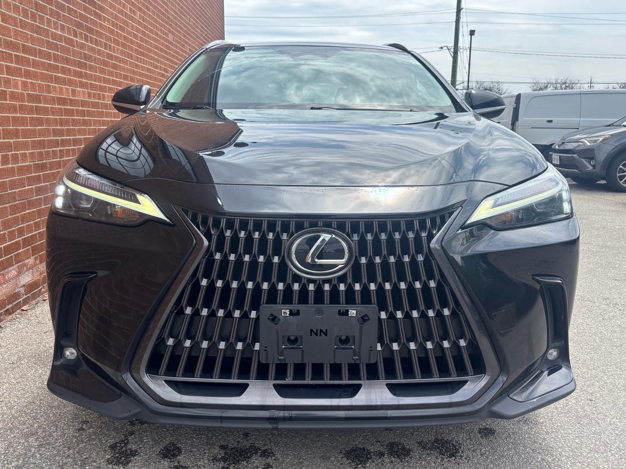 2022 Lexus NX 350h NX 350h AWD Photo