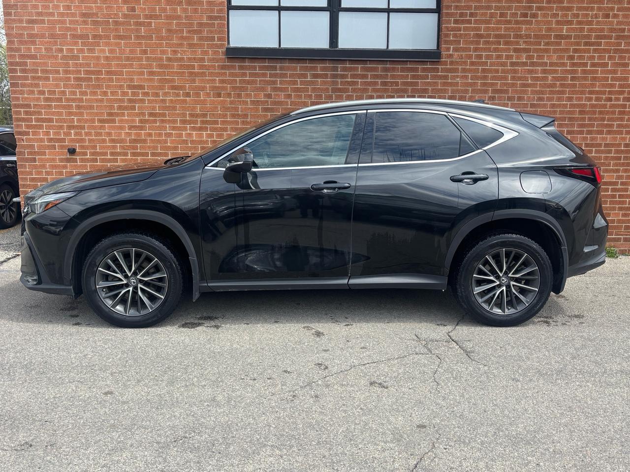 2022 Lexus NX 350h NX 350h AWD Photo2