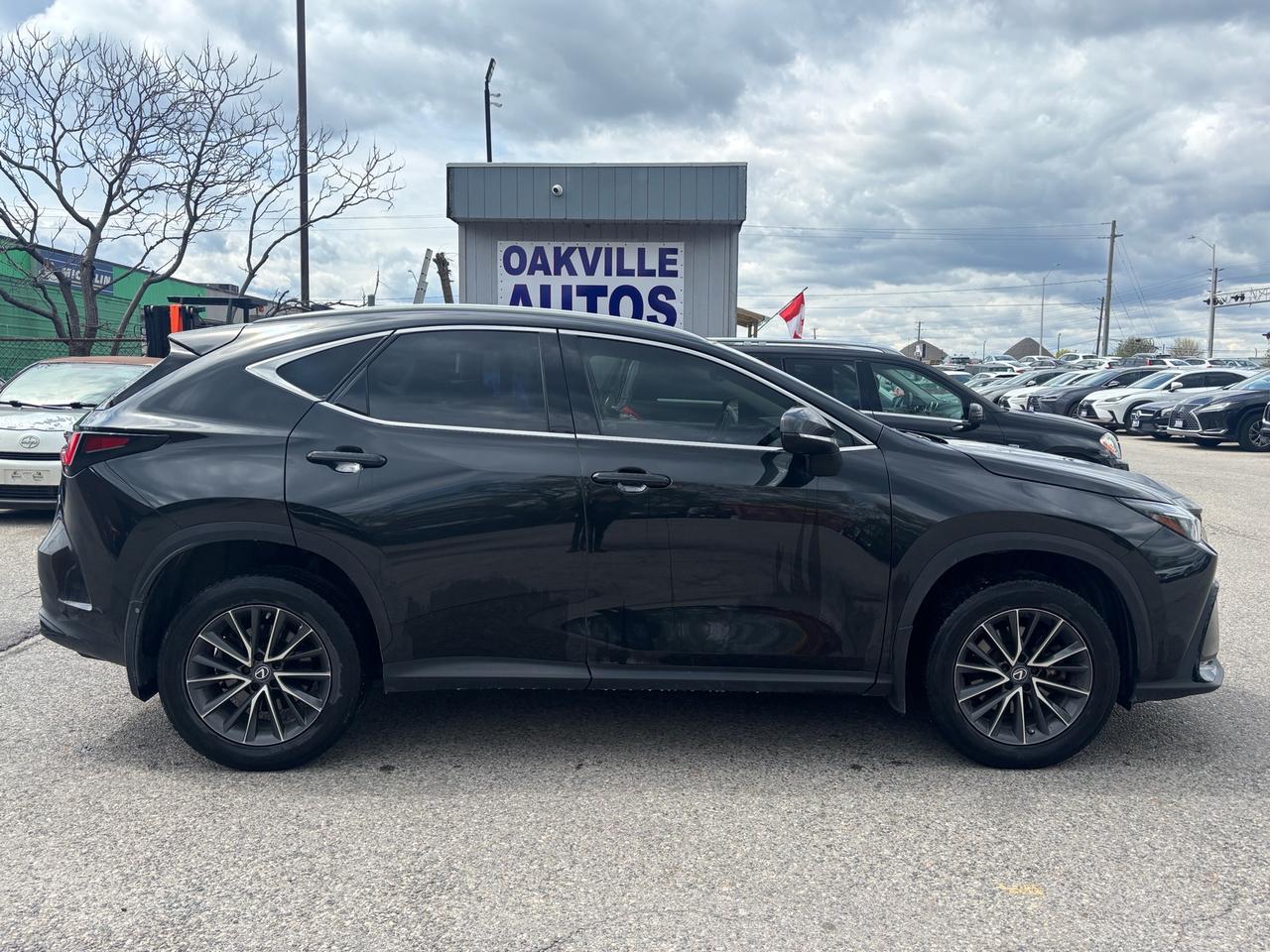 2022 Lexus NX 350h NX 350h AWD Photo