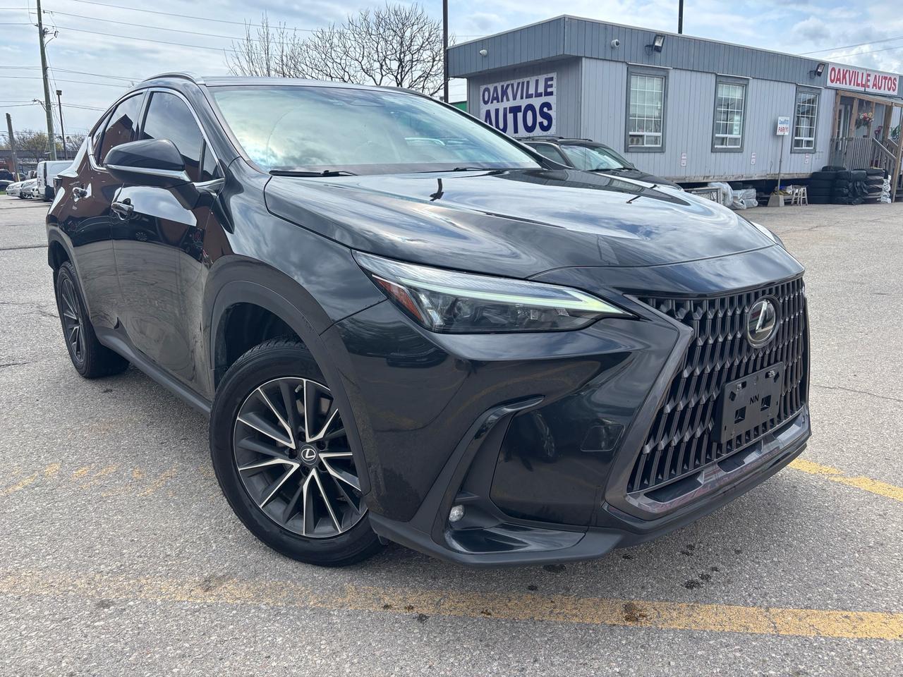 2022 Lexus NX 350h NX 350h AWD Photo