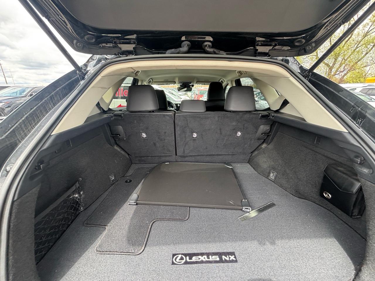 2022 Lexus NX 350h NX 350h AWD Photo