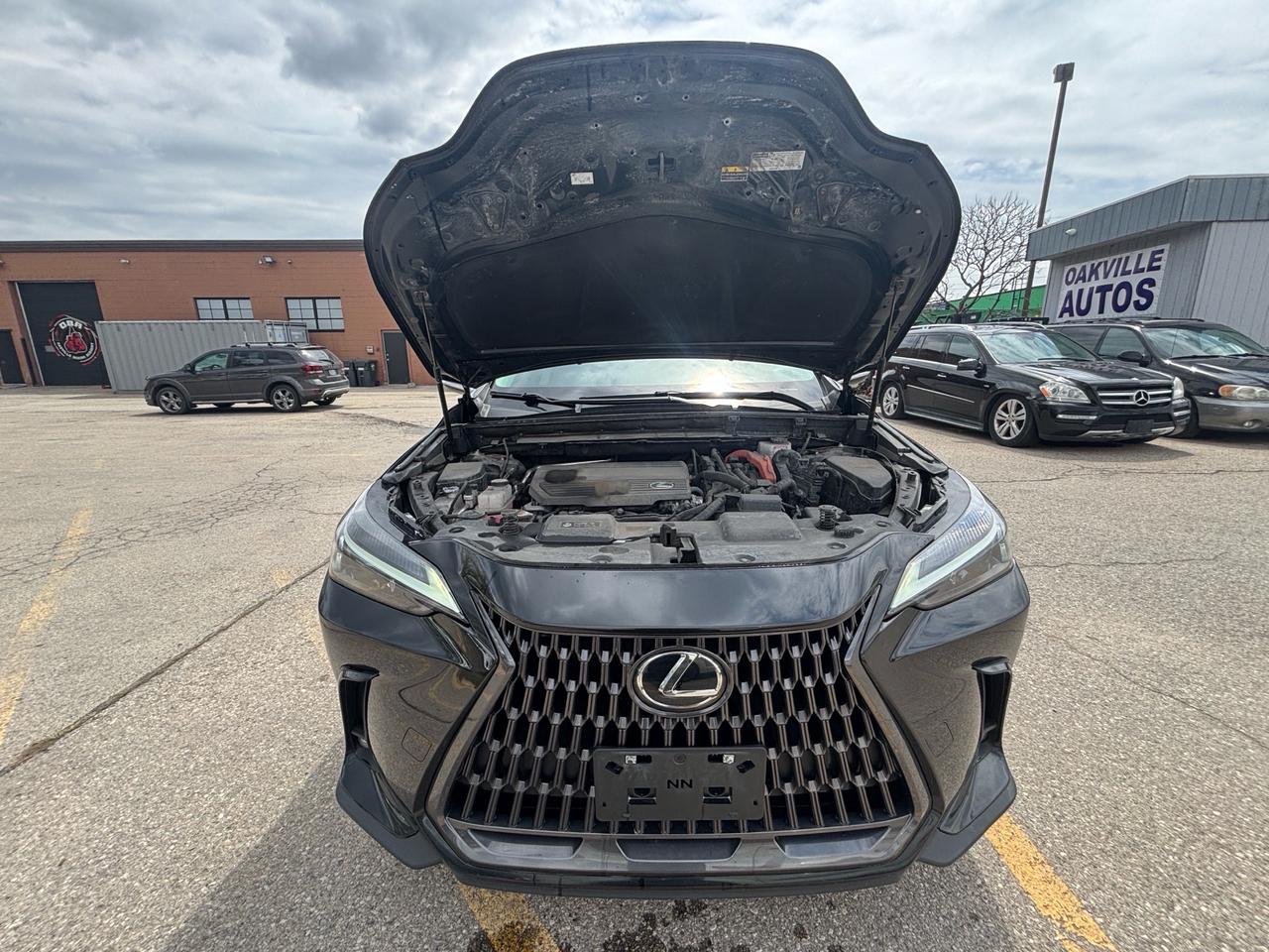 2022 Lexus NX 350h NX 350h AWD Photo