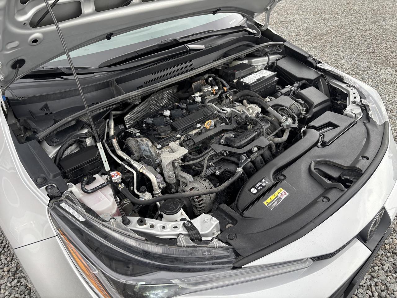 2023 Toyota Corolla LE Photo