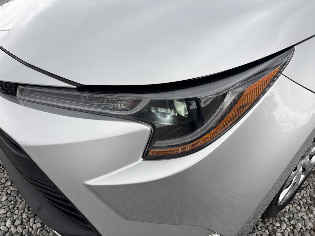 2023 Toyota Corolla LE Photo