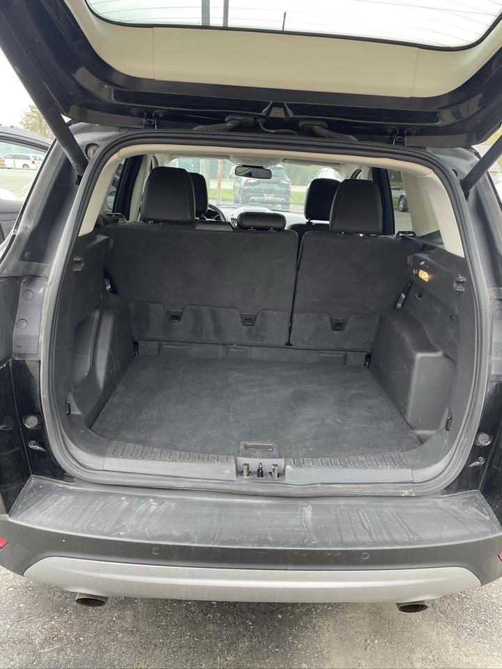2019 Ford Escape SEL Photo