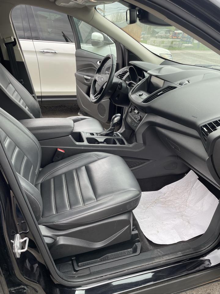 2019 Ford Escape SEL Photo