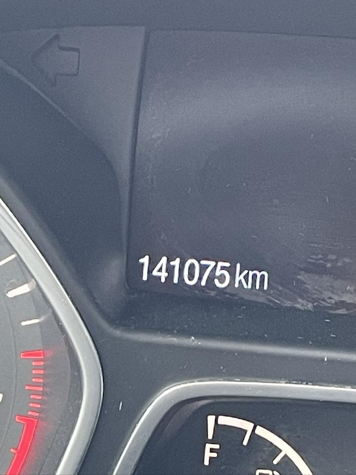 2019 Ford Escape SEL Photo